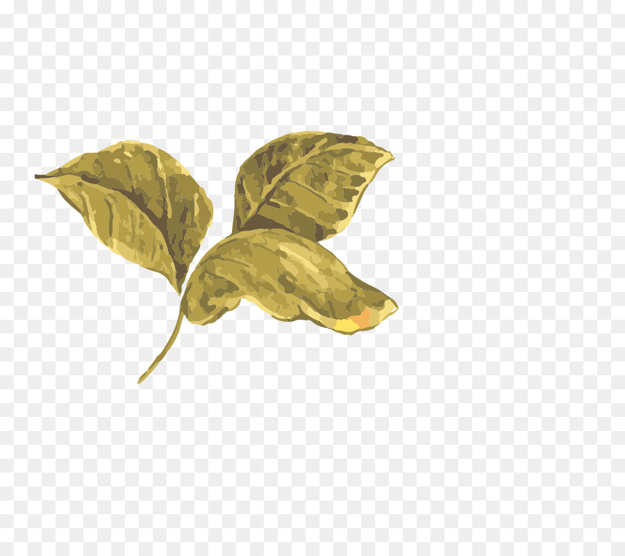 Feuilles D'or，Nature PNG