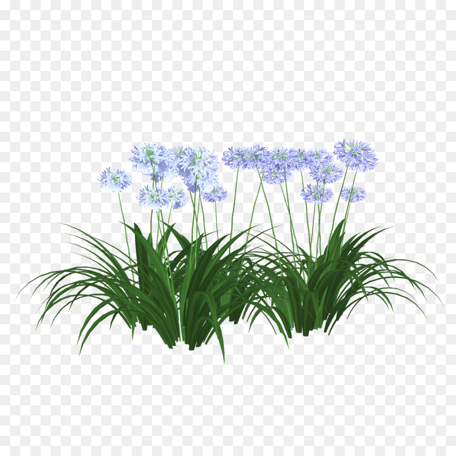 Plantes à Fleurs，Fleurs PNG