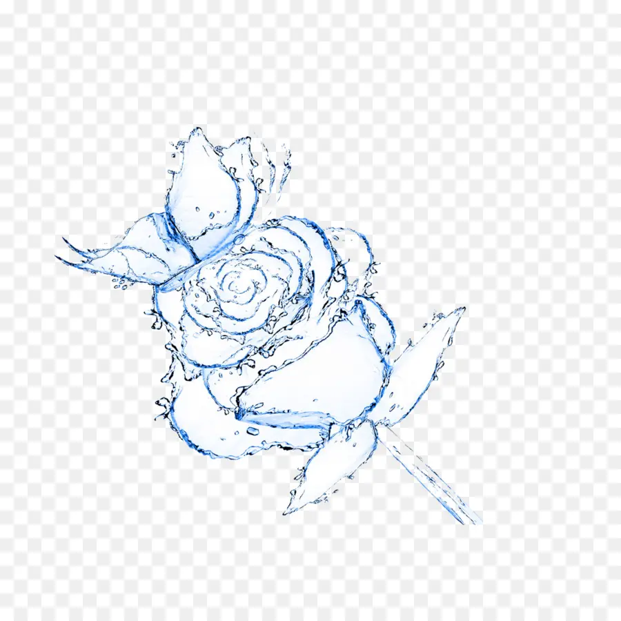 Rose Bleue，Eau PNG