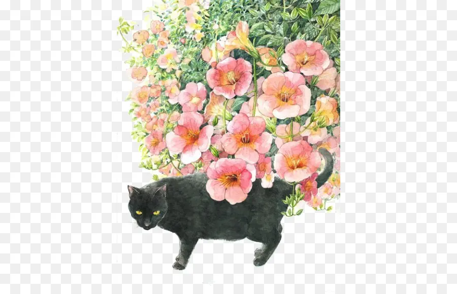 Chat Noir，Fleurs PNG