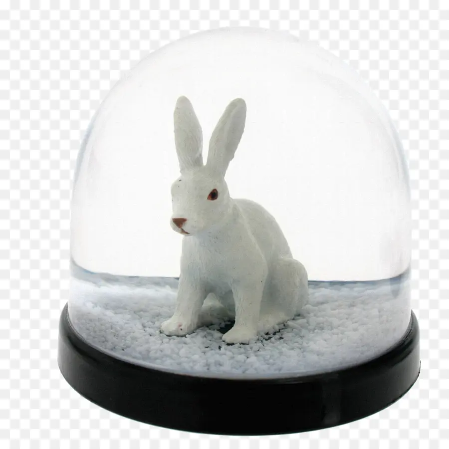 Lapin Blanc，Boule à Neige PNG