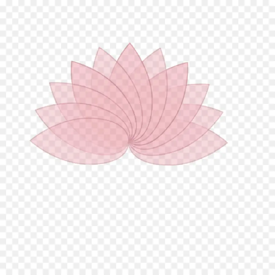 Lotus Rose，Fleurs PNG