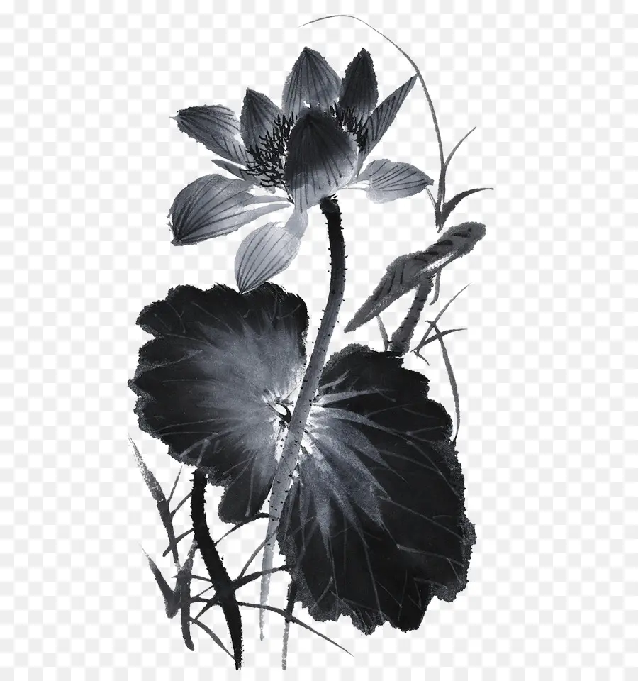 Fleur Noire，Usine PNG