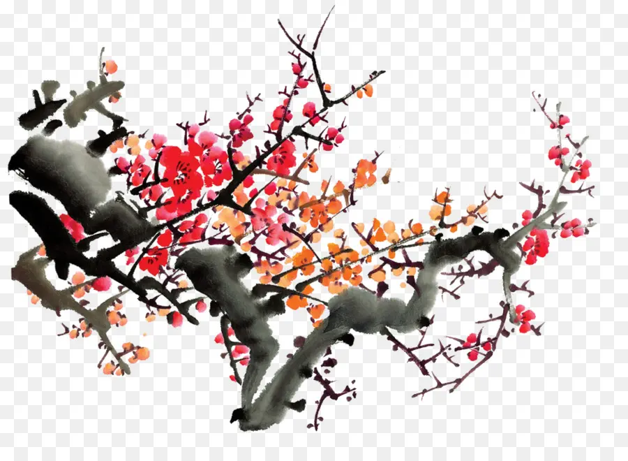 Branches De Fleurs De Cerisier，Fleurs PNG