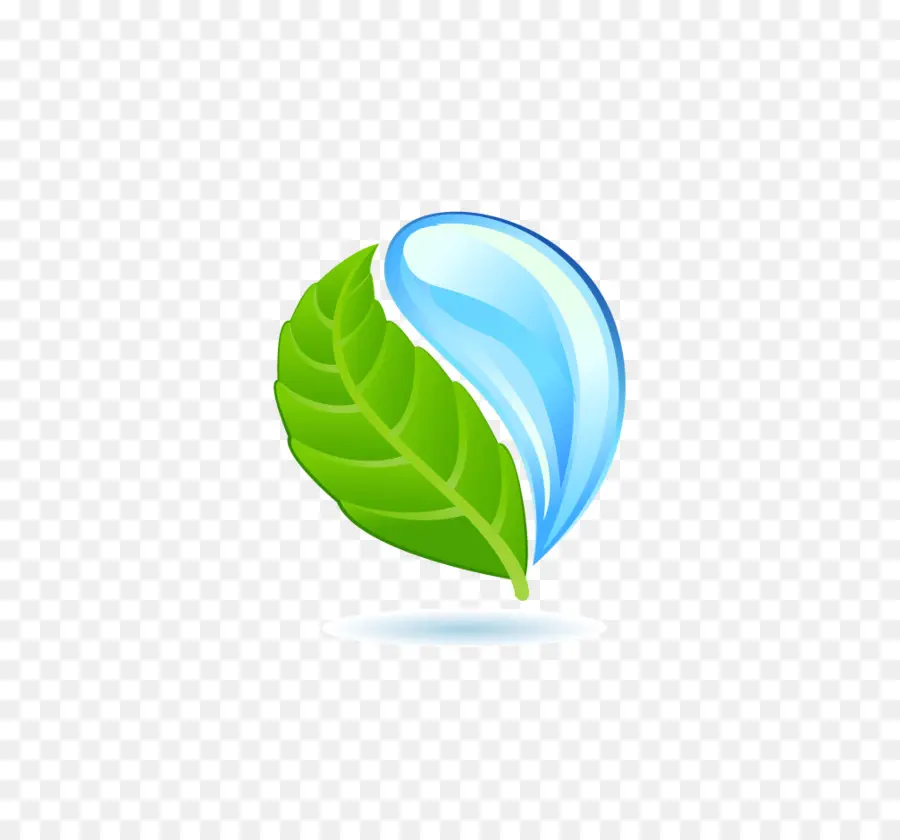 Feuille Et Goutte D'eau，Vert PNG