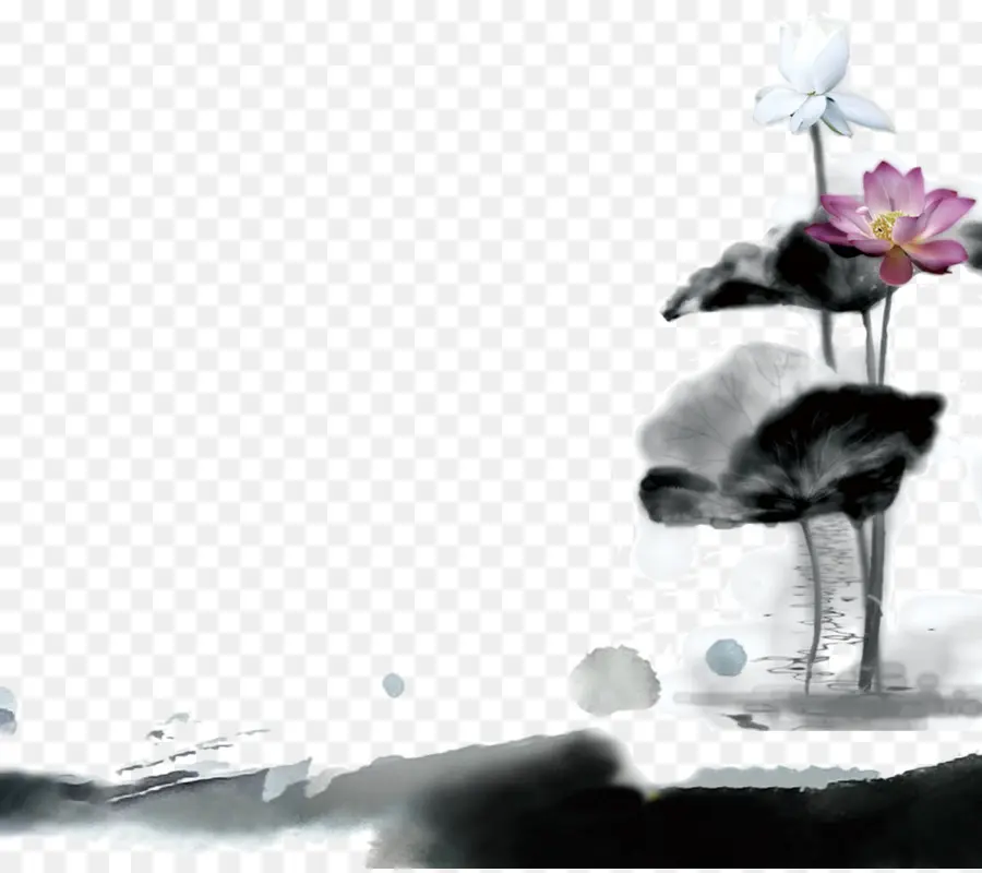 Fleurs De Lotus，Rose PNG