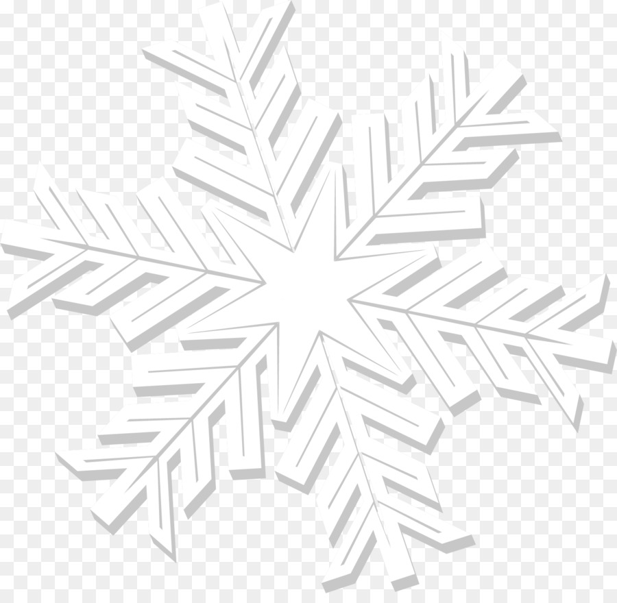 Flocon De Neige Blanc，Glace PNG