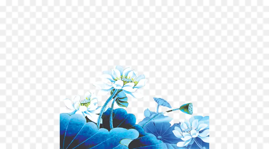 Lotus Bleu，Feuilles PNG