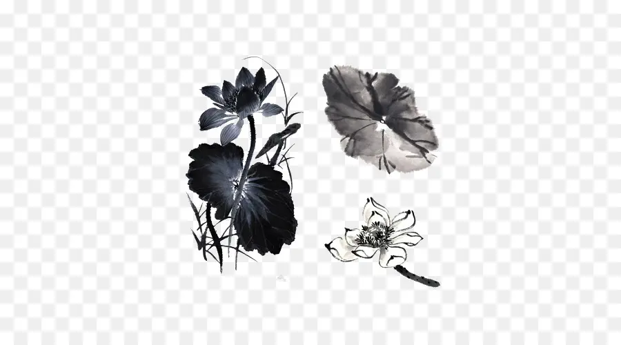 Fleur Noire，Usine PNG