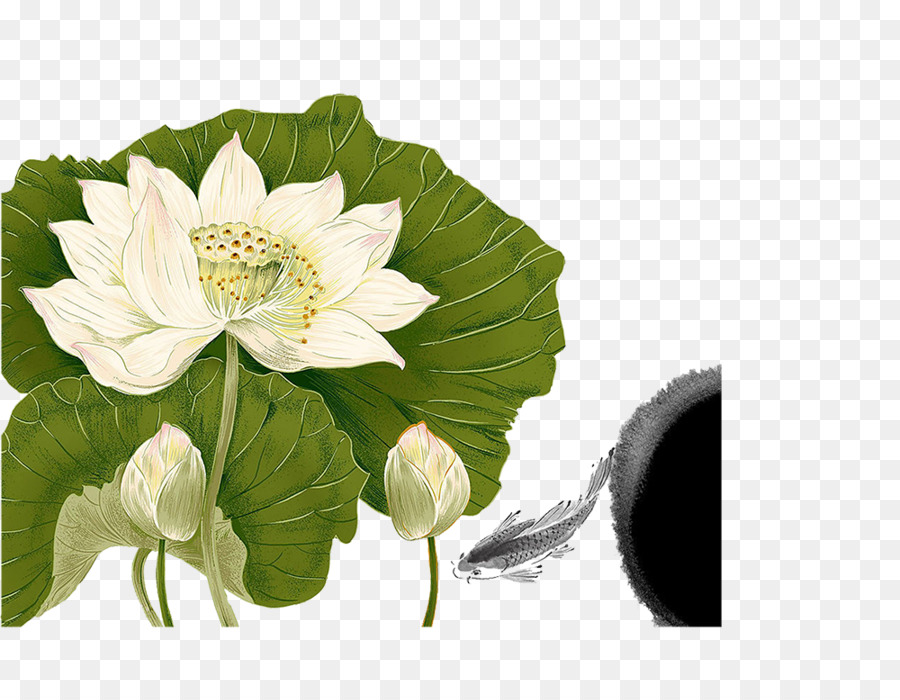 Fleur De Lotus，Feuilles PNG