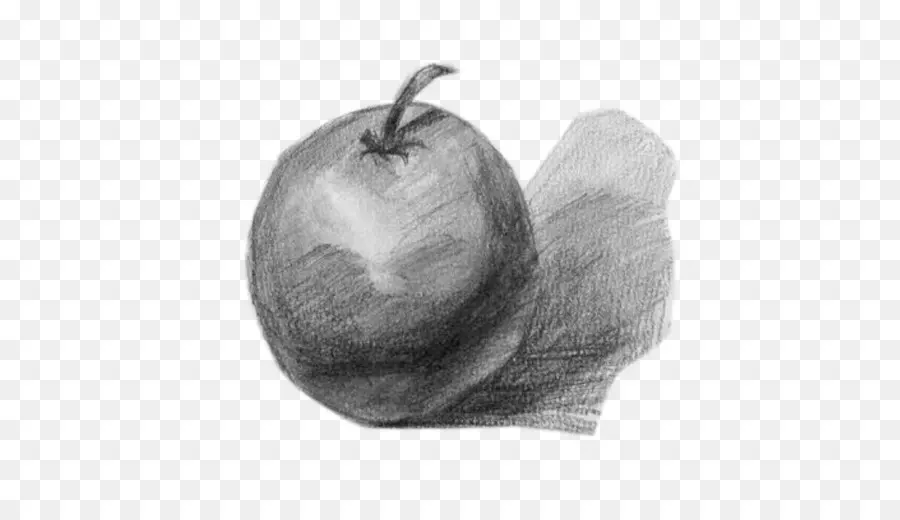 Croquis Au Crayon De Pomme，Esquisser PNG