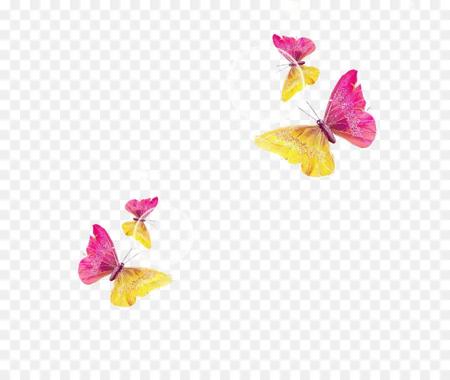 Papillons Roses Et Jaunes，Insectes PNG