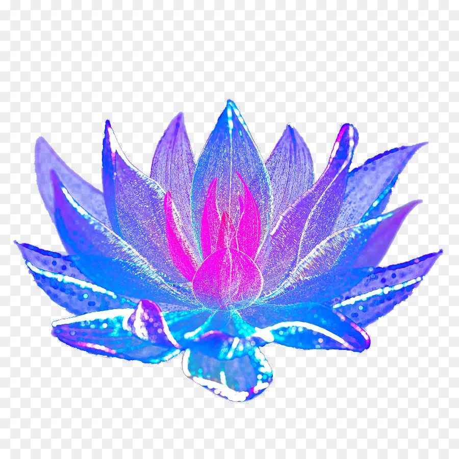 Bleu，Fleur Bleue PNG