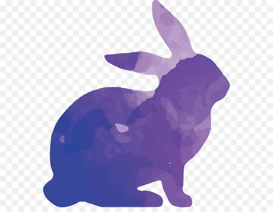 Lapin Vert，Lapin PNG