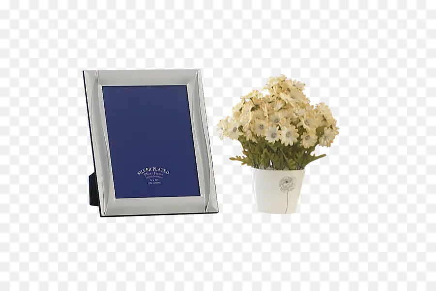 Cadre Photo，Fleurs PNG