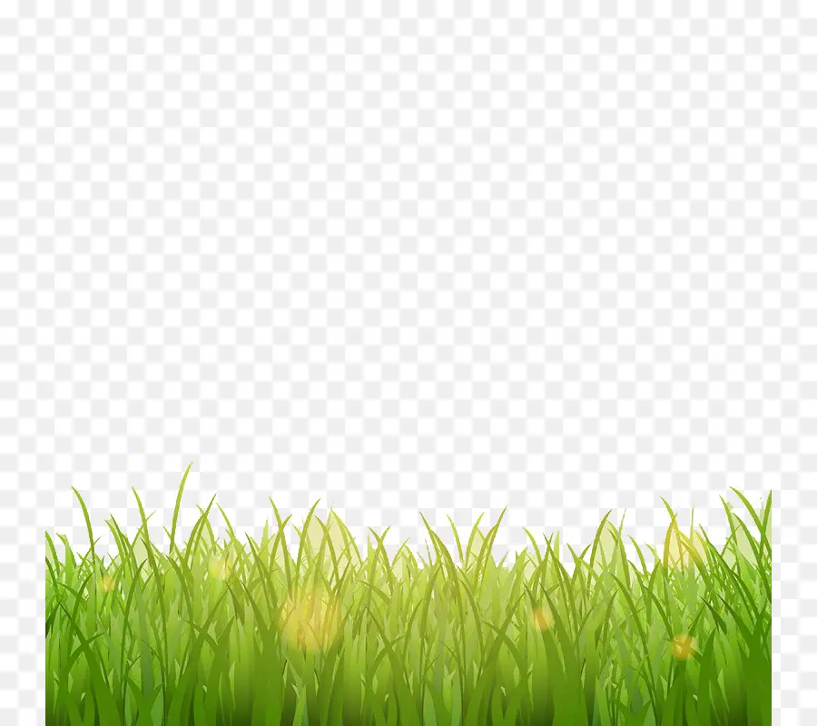 Herbe Verte，Fleurs PNG