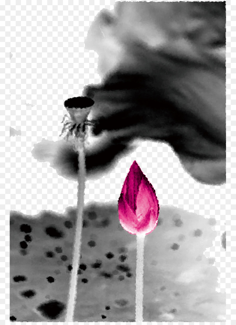 Fleur De Lotus，Floraison PNG