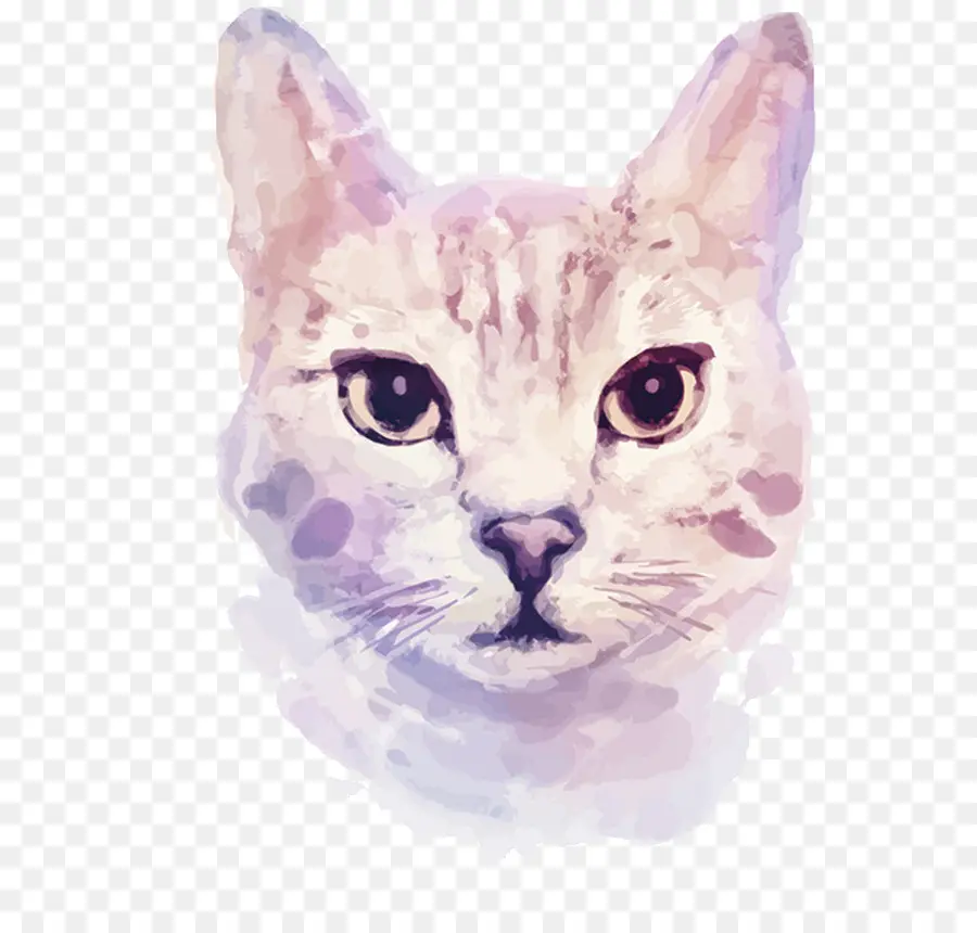 Chat，Chaton PNG