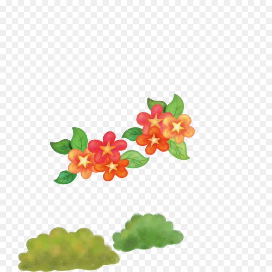 Fleurs Rouges，Floraison PNG