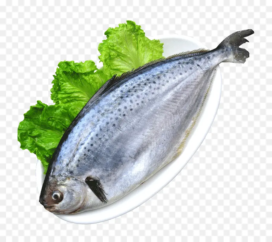 Poisson，Laitue PNG