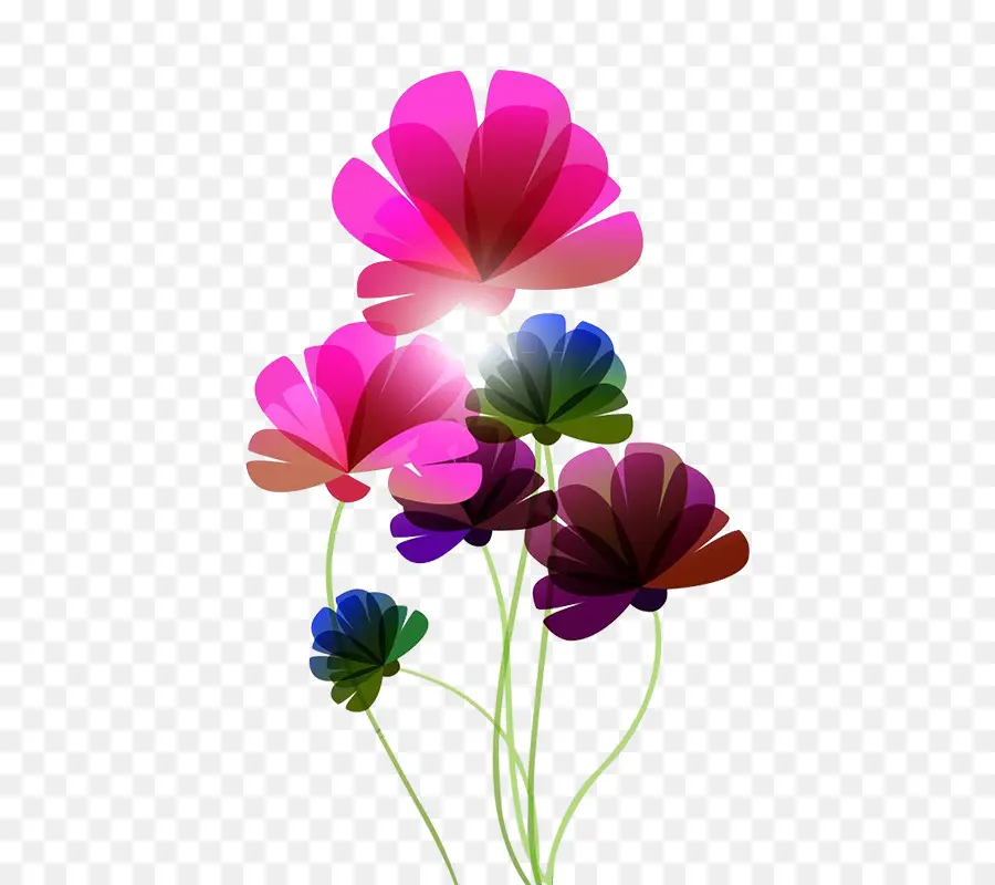 Art Floral，Fleur PNG