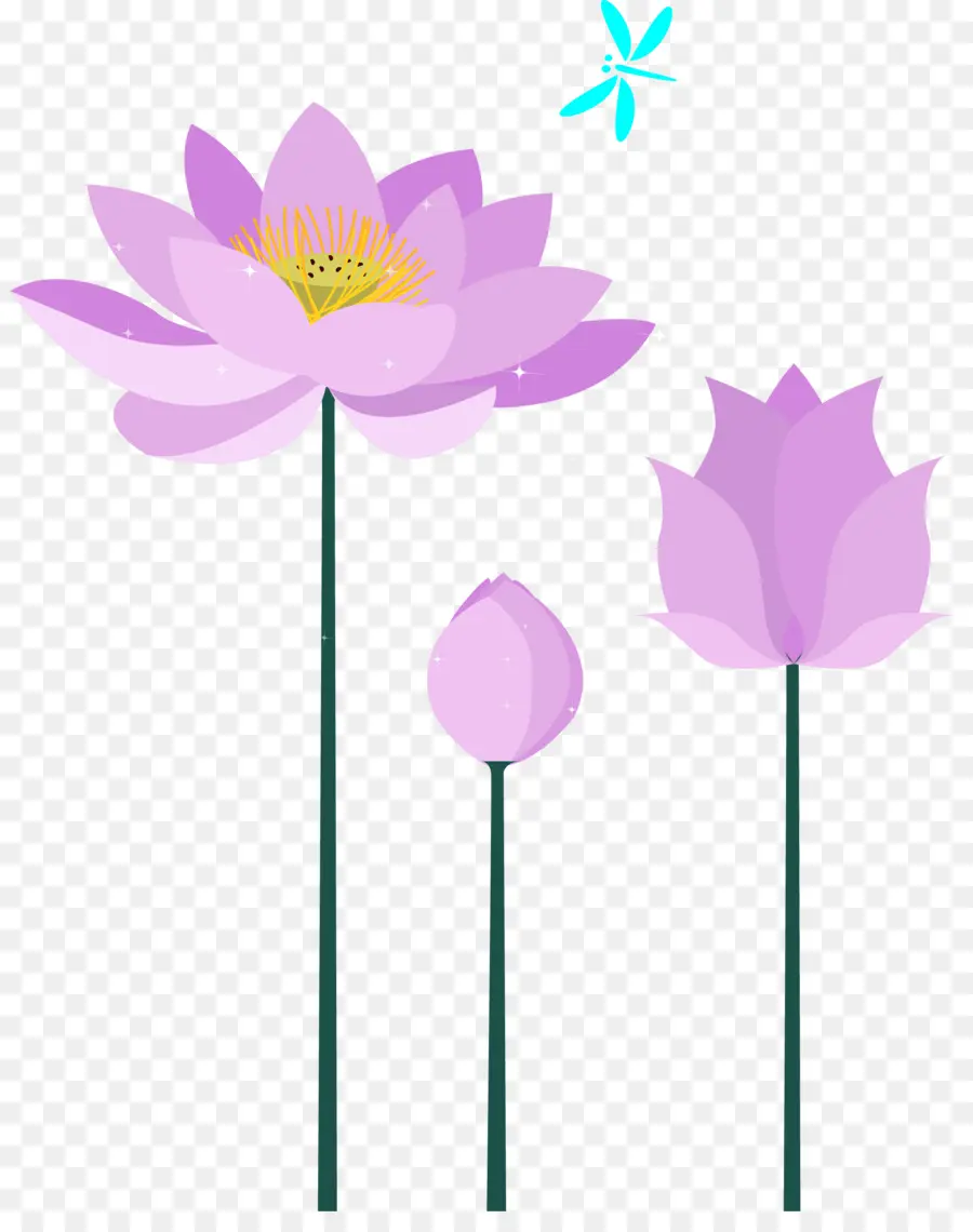 Fleurs De Lotus，Rose PNG