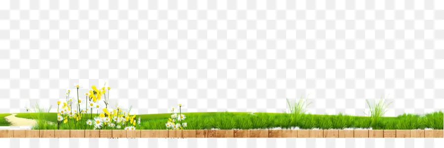 Herbe，Fleurs PNG