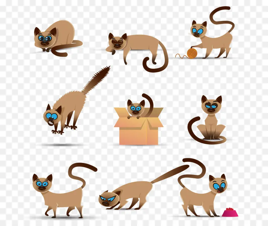 Chats Siamois，Mignon PNG