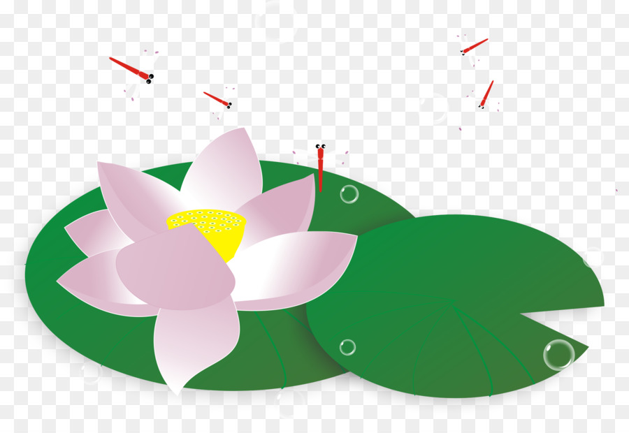 Nelumbo Nucifiera，Chinoiserie PNG