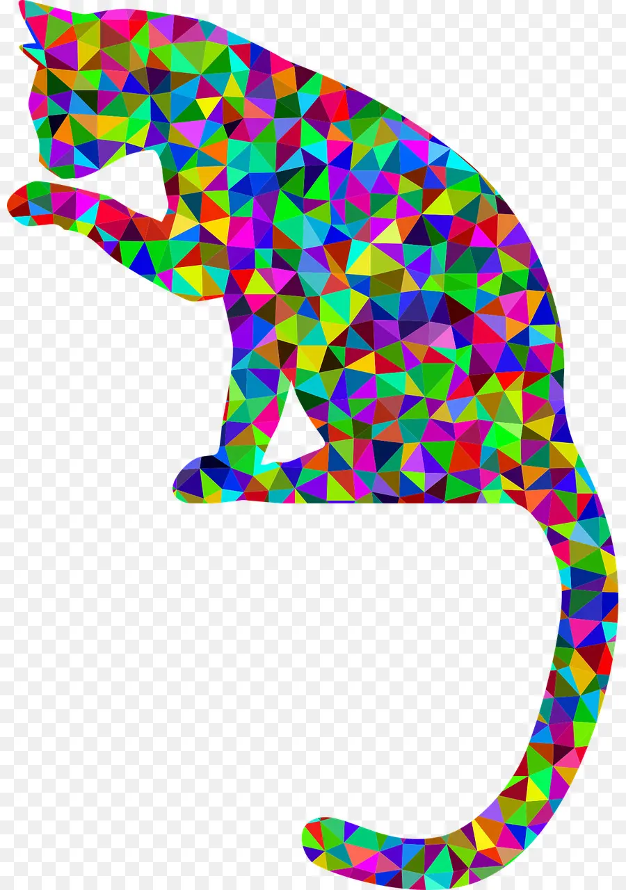 Chat Coloré，Géométrique PNG