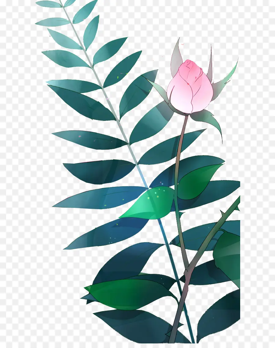 Bouton De Rose Rose，Feuilles PNG