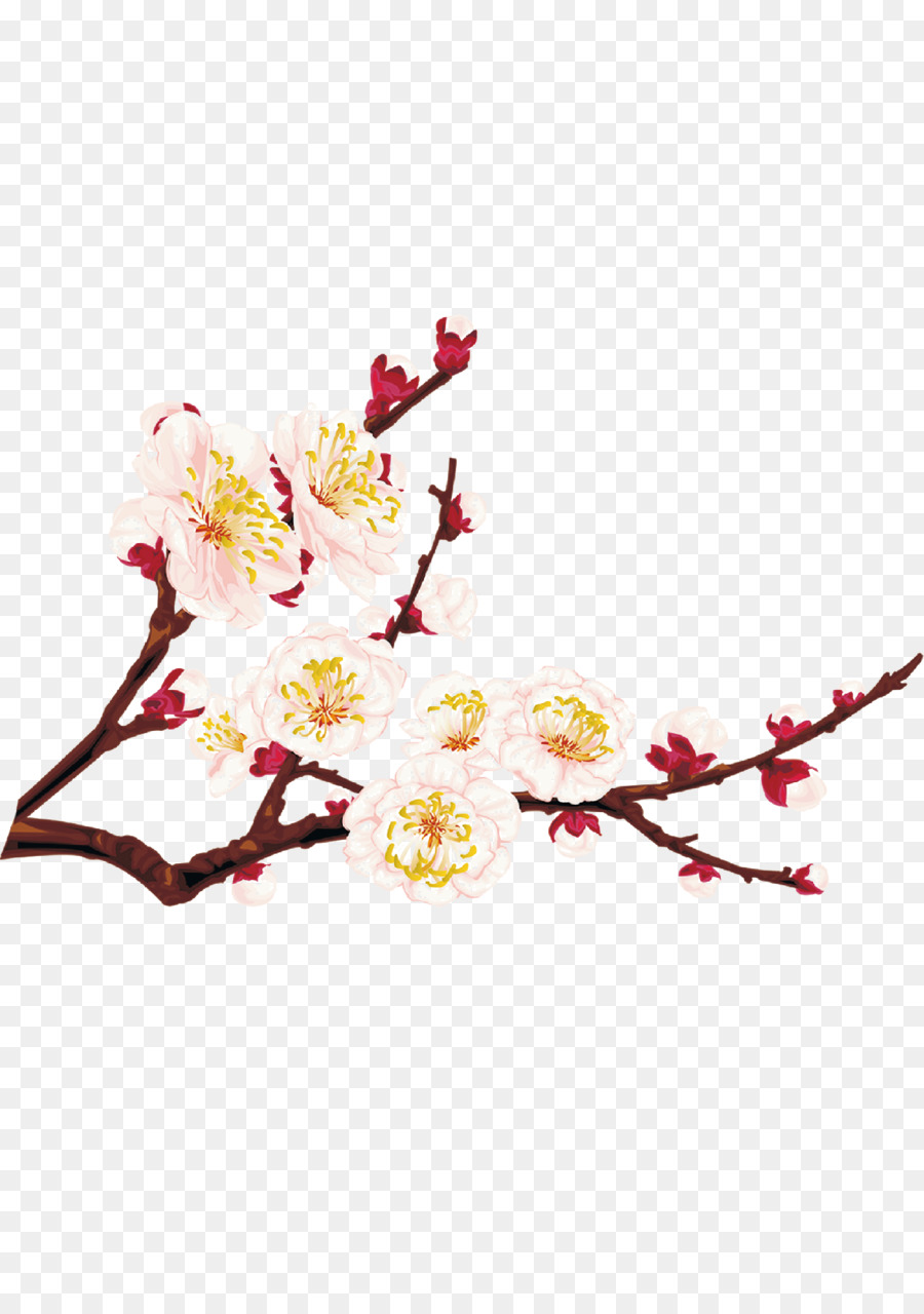 Fleur De Prune，Logiciel PNG