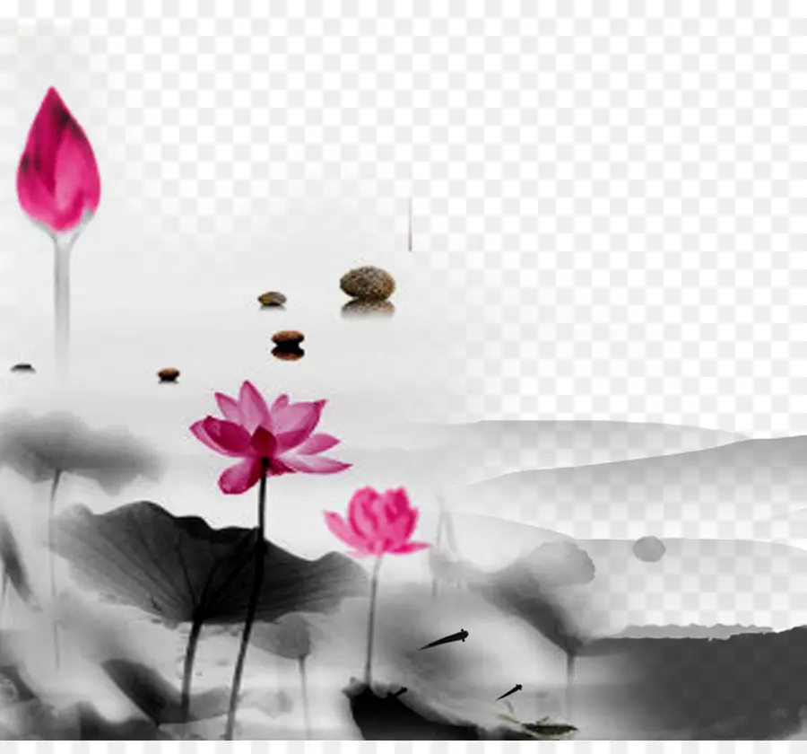 Fleurs De Lotus，Rose PNG