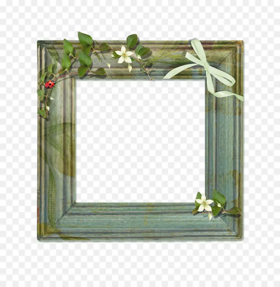 Cadre Décoratif，Fleurs PNG