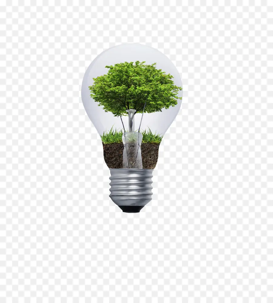 Ampoule Avec Plante，énergie Verte PNG