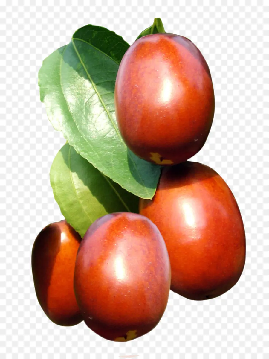 Jujube，Fruit PNG