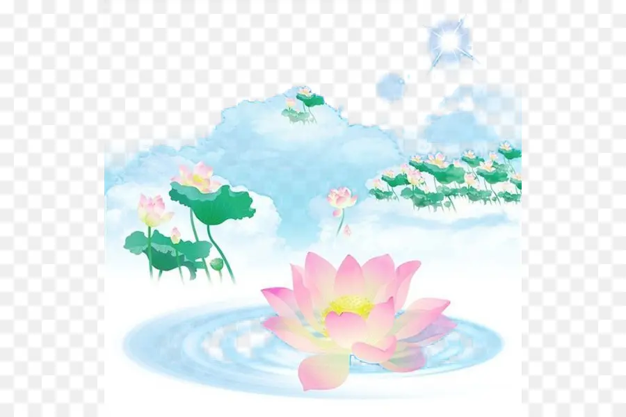 Lotus Rose，Eau PNG