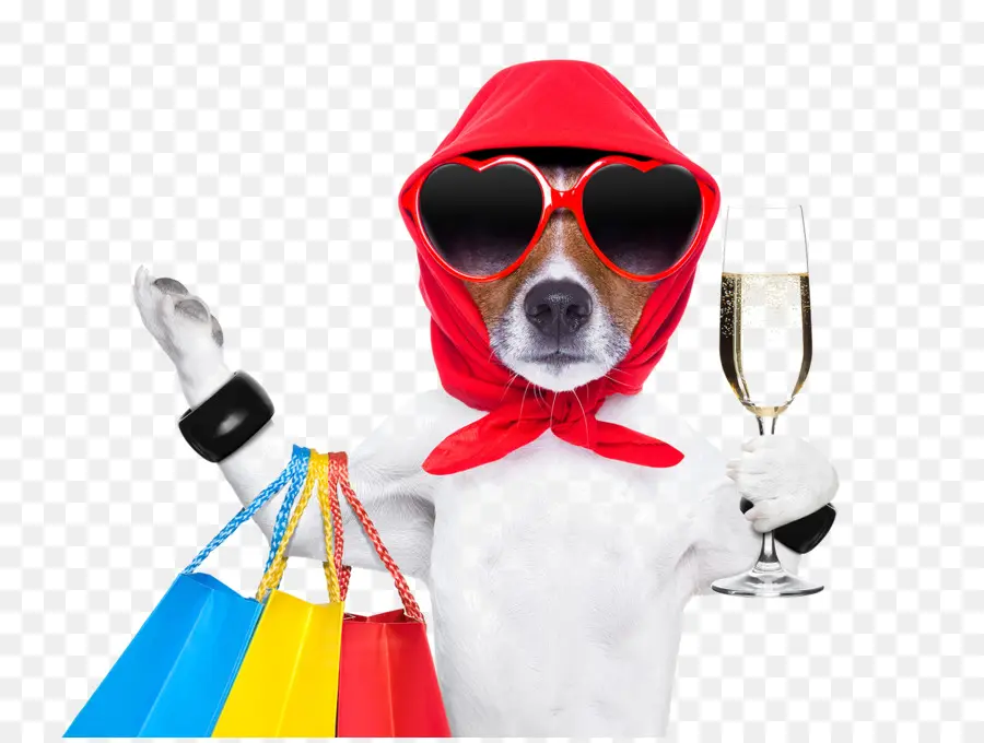 Chien，Shopping PNG
