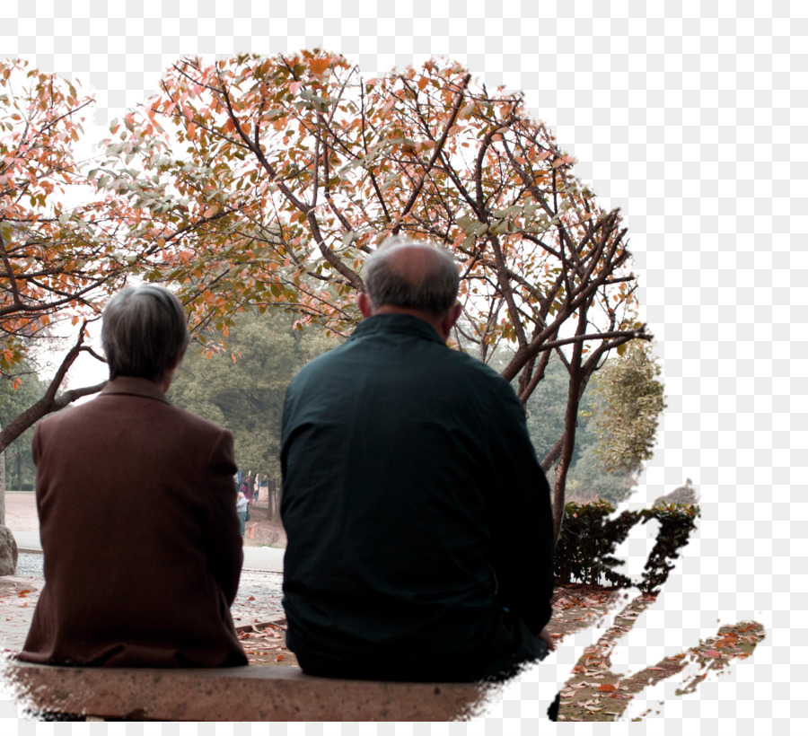 Couple De Personnes âgées，Parc PNG