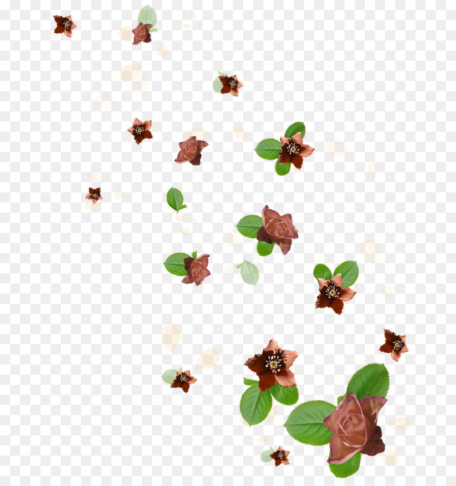 Fleurs Brunes，Fleurs PNG