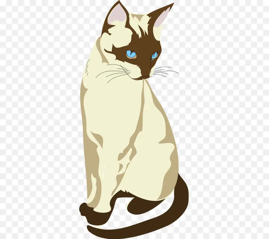 Chat Siamois，Animal De Compagnie PNG