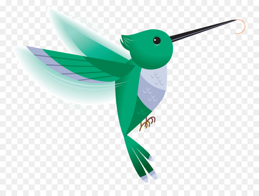 Colibri，Blog PNG