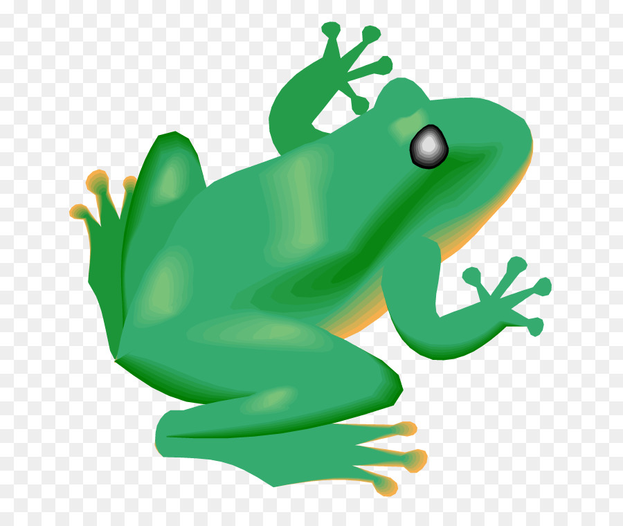 Grenouille Verte De Dessin Animé，Animal PNG