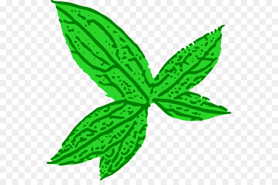 Feuille Verte，Nature PNG