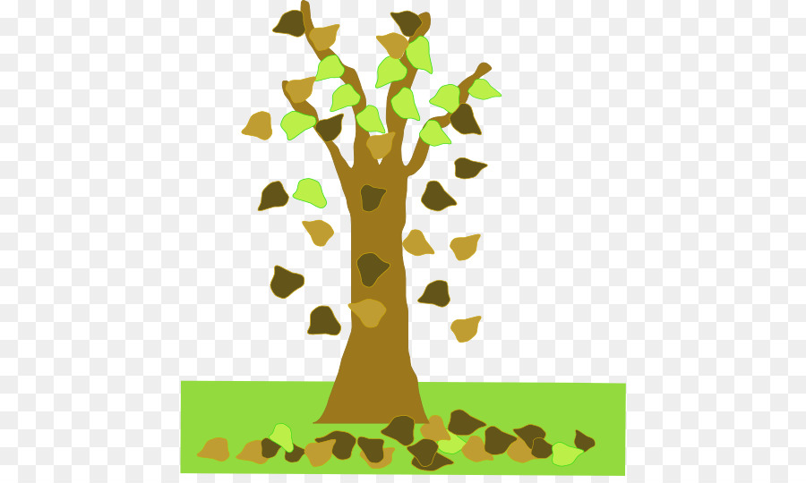 Arbre，Feuilles PNG