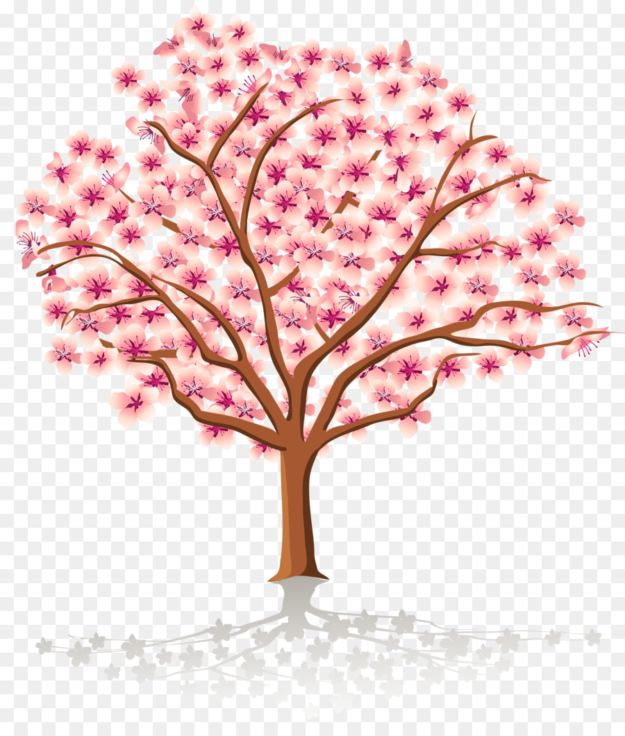 Arbre à Fleurs De Cerisier，Fleurs PNG