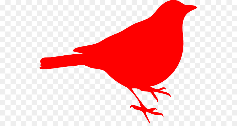 Oiseau，Cardinal Du Nord PNG