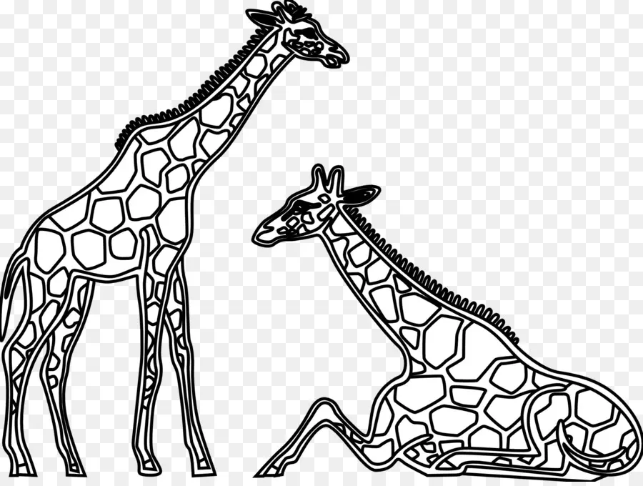 Girafes，Faune PNG