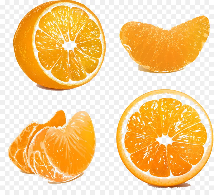 Tranches D'orange，Agrumes PNG