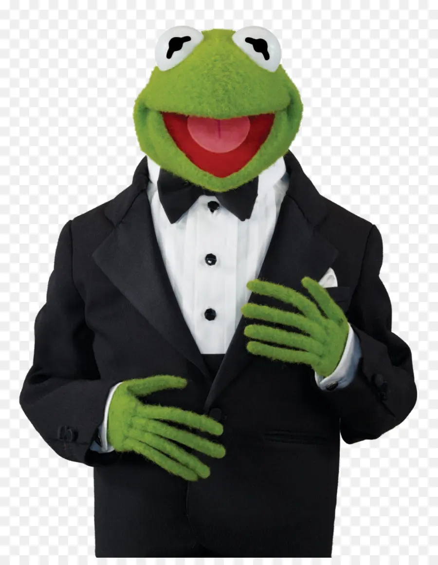 Kermit La Grenouille，Ours De Fozzie PNG